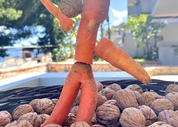 Appartement Relax Saranda